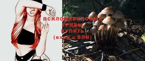 мяу мяу мука Алексин