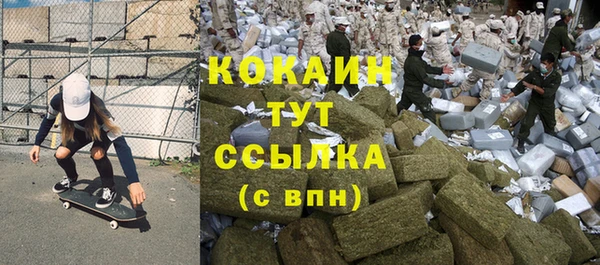 винт Алзамай