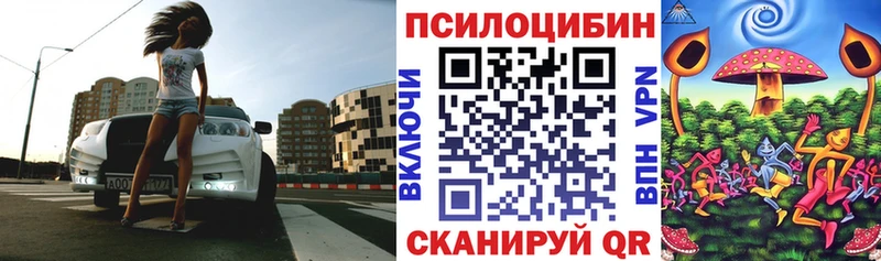 Галлюциногенные грибы Psilocybe  Болгар 